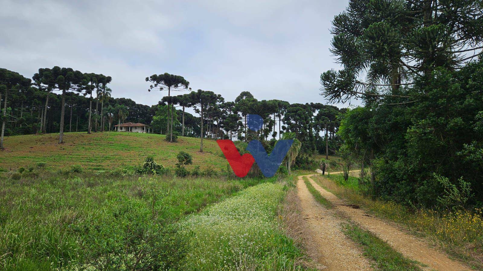 Fazenda à venda com 3 quartos, 1694000M2 - Foto 6