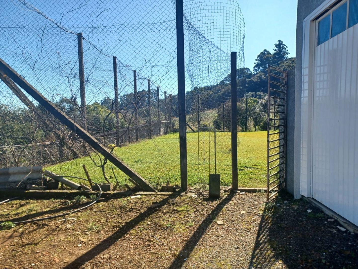 Fazenda à venda com 3 quartos, 6500m² - Foto 5