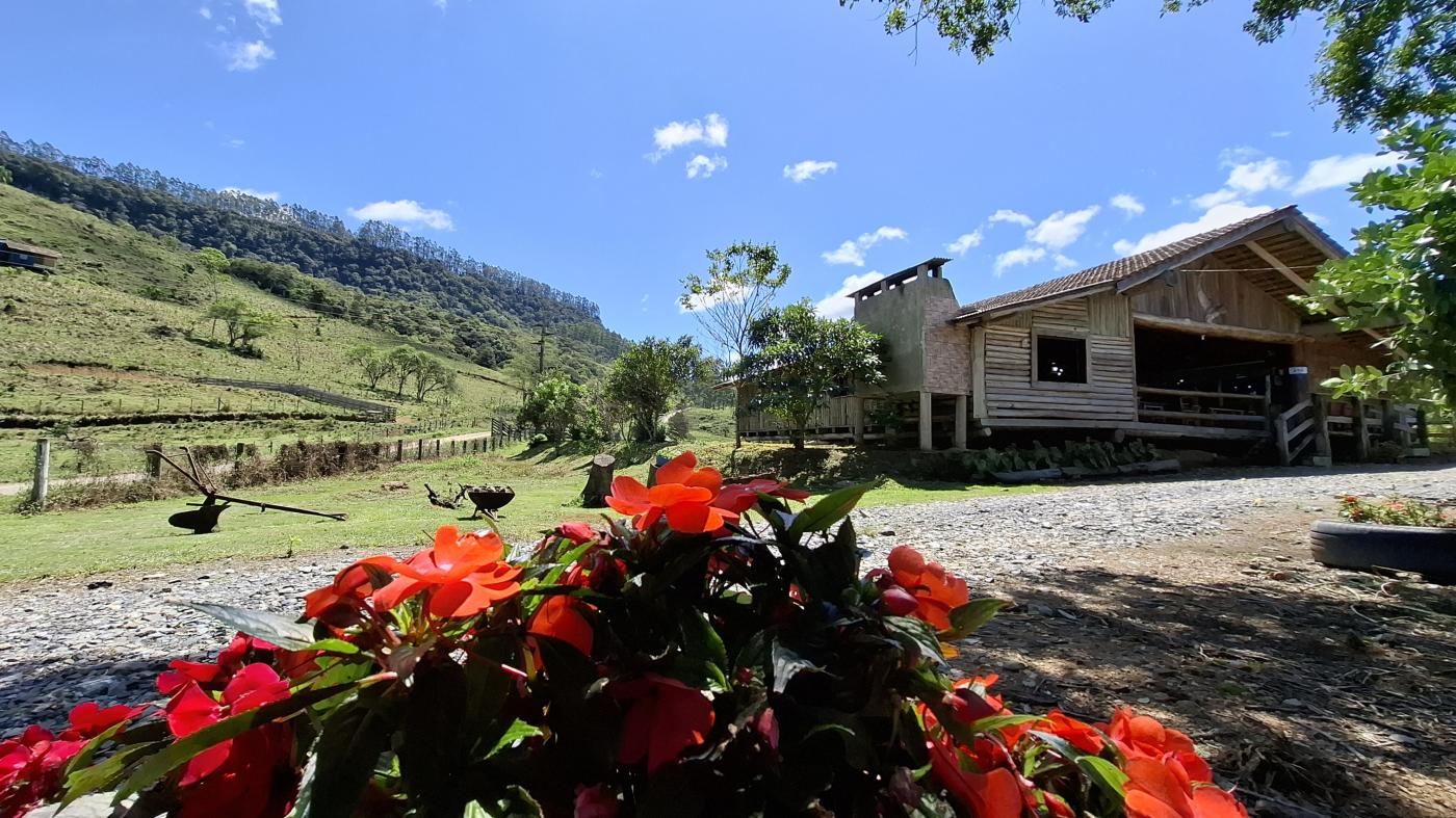 Fazenda à venda com 4 quartos, 950000m² - Foto 45