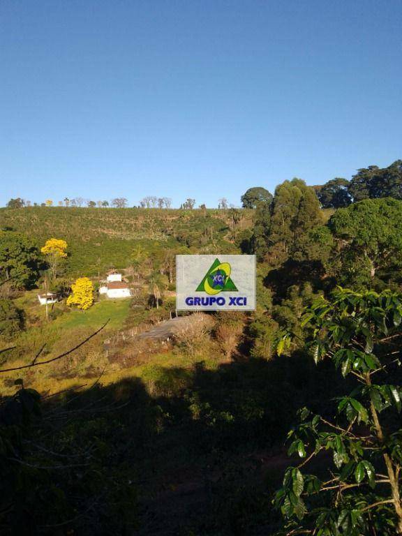 Sítio, 44 hectares - Foto 4