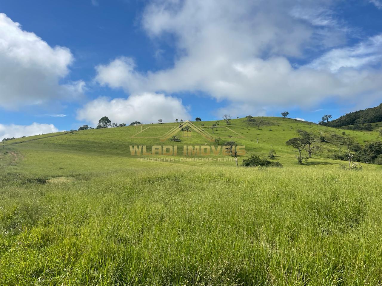 Fazenda à venda, 70m² - Foto 13