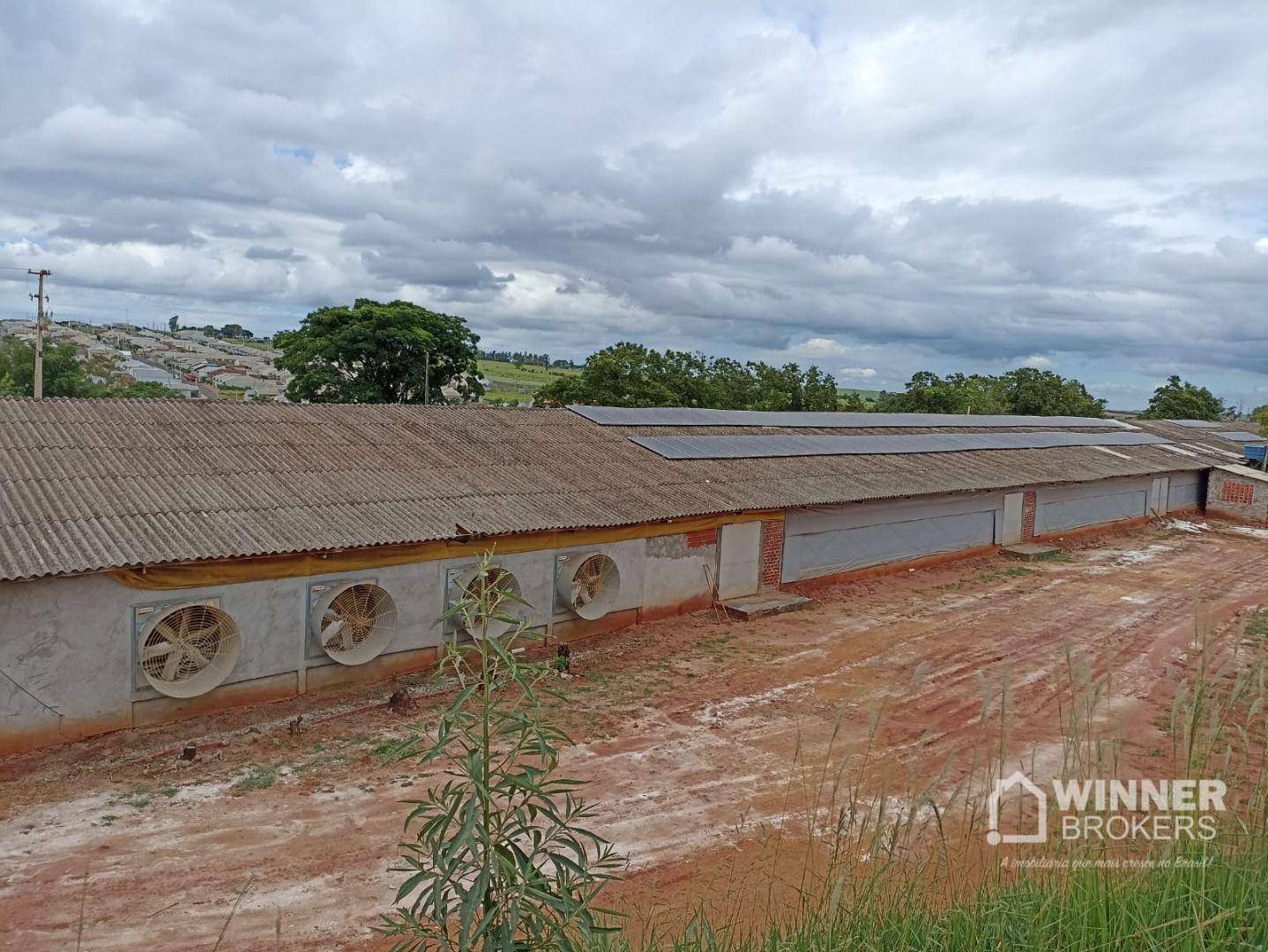 Chácara à venda com 2 quartos, 48000M2 - Foto 4