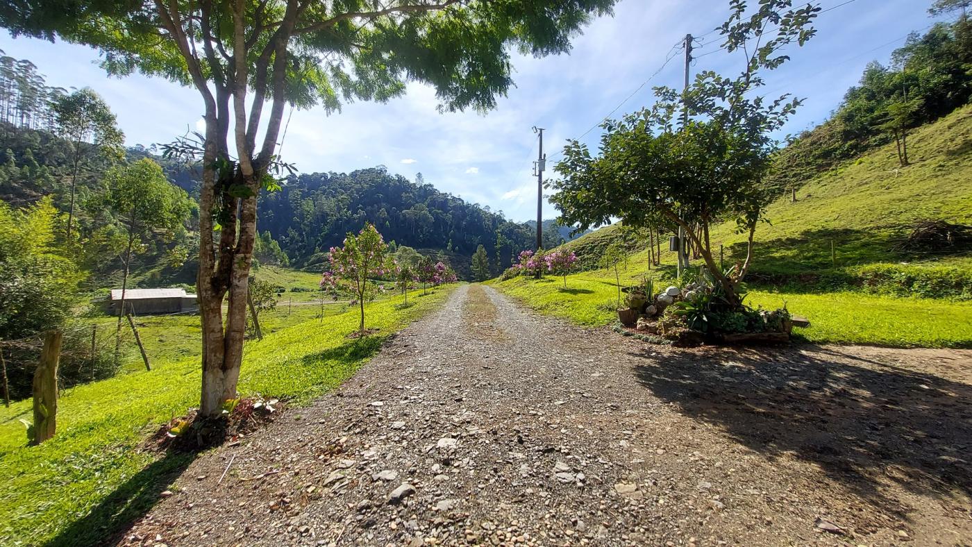 Fazenda à venda com 4 quartos, 4140000m² - Foto 14