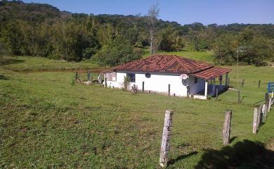 Fazenda à venda com 3 quartos, 40000m² - Foto 1