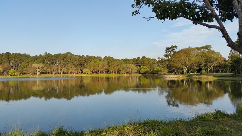 Terreno à venda, 212m² - Foto 1