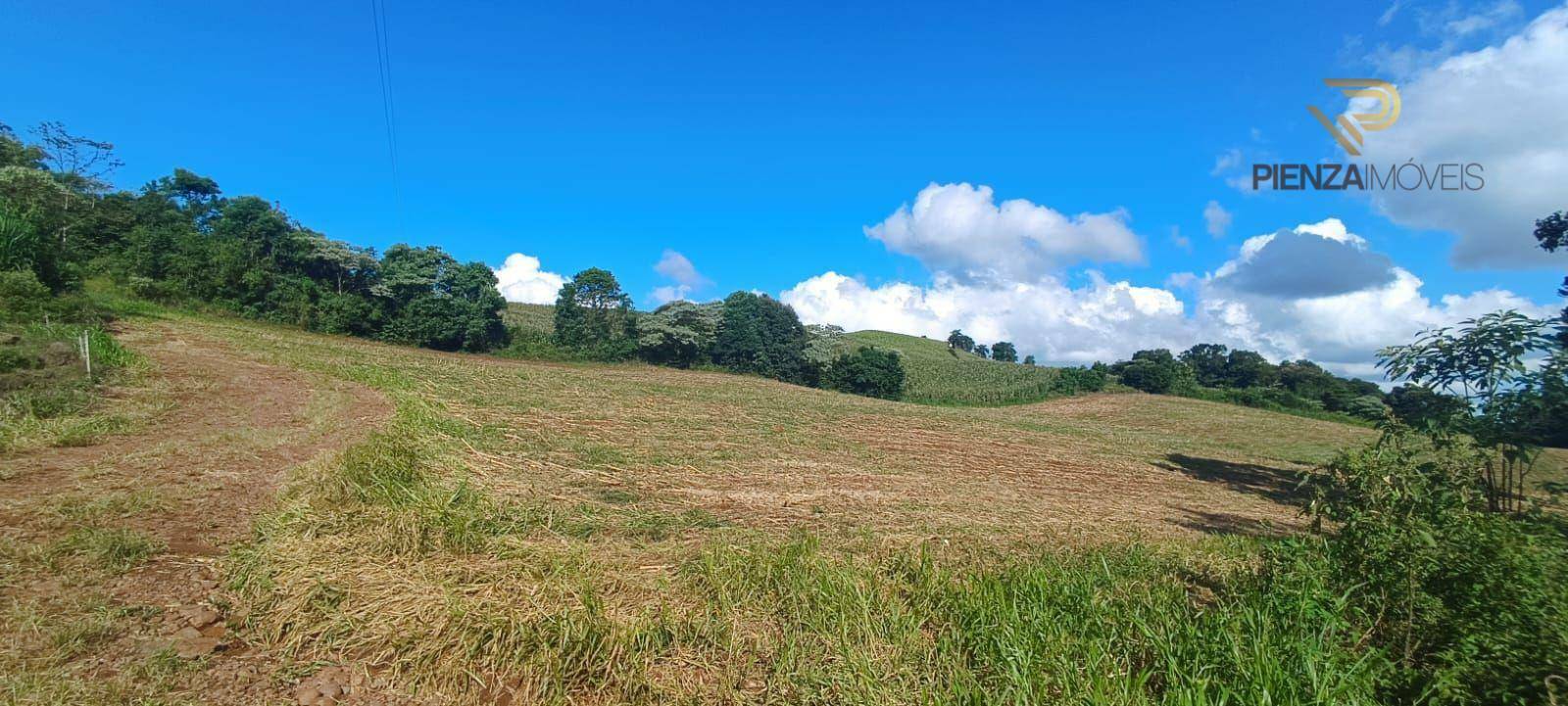 Terreno à venda, 140000M2 - Foto 7