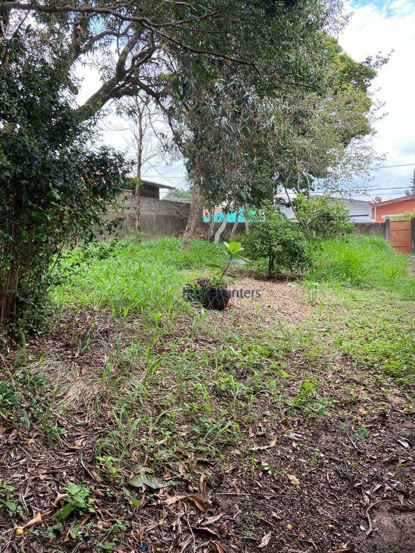 Terreno para alugar, 360M2 - Foto 2