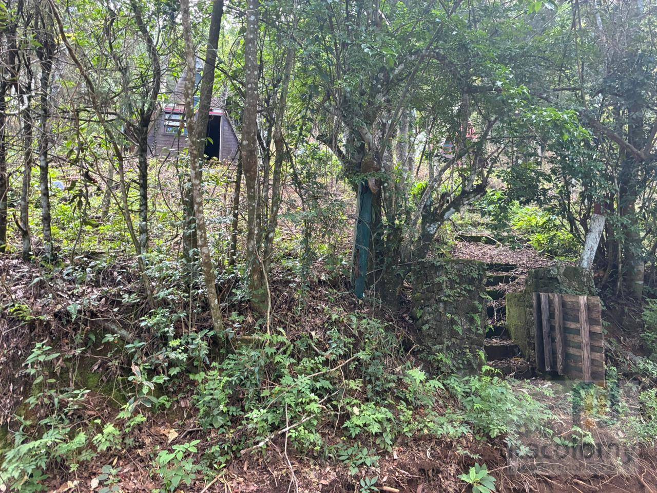 Terreno, 1046 m² - Foto 3