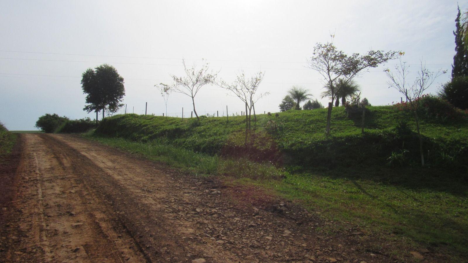 Fazenda à venda com 4 quartos, 12000m² - Foto 17