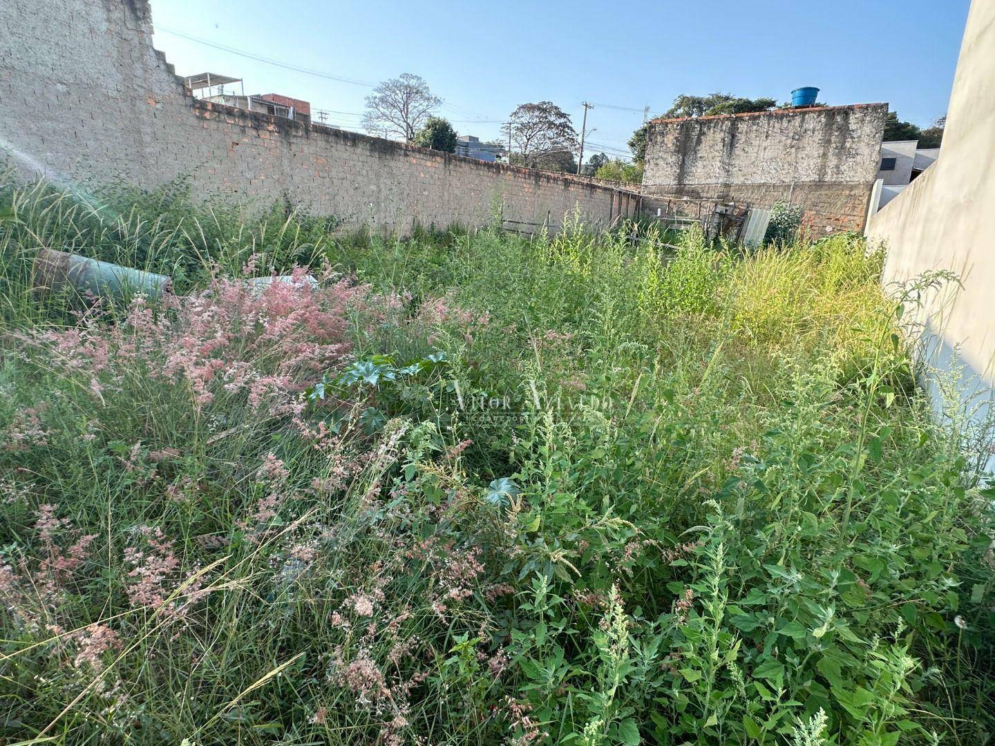 Terreno à venda, 300M2 - Foto 3