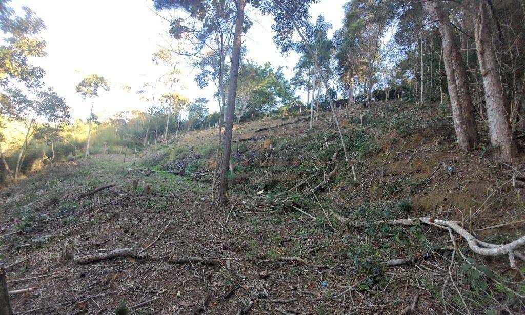 Loteamento e Condomínio à venda, 1750M2 - Foto 1