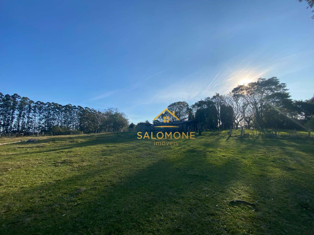 Sítio, 13 hectares - Foto 19