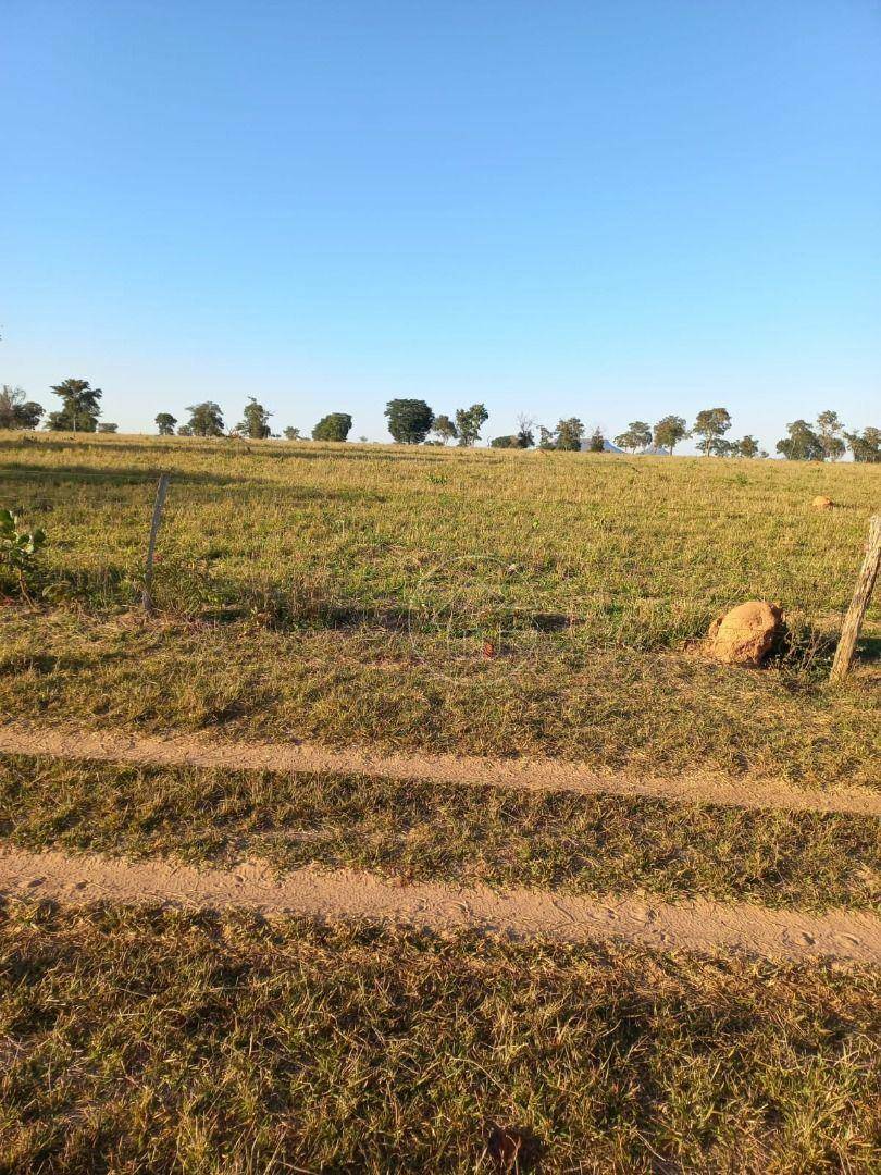 Fazenda à venda, 9970000M2 - Foto 17