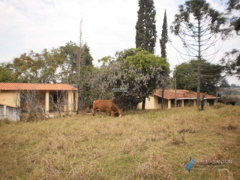 Chácara à venda com 2 quartos, 1m² - Foto 22