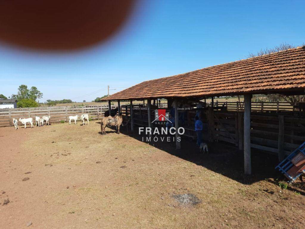 Fazenda à venda com 4 quartos, 1260m² - Foto 17