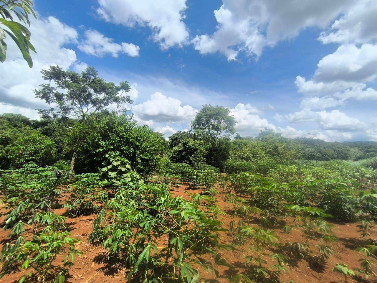 Chácara, 3375 m² - Foto 2