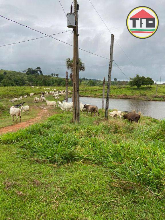 Fazenda à venda, 4114000M2 - Foto 19