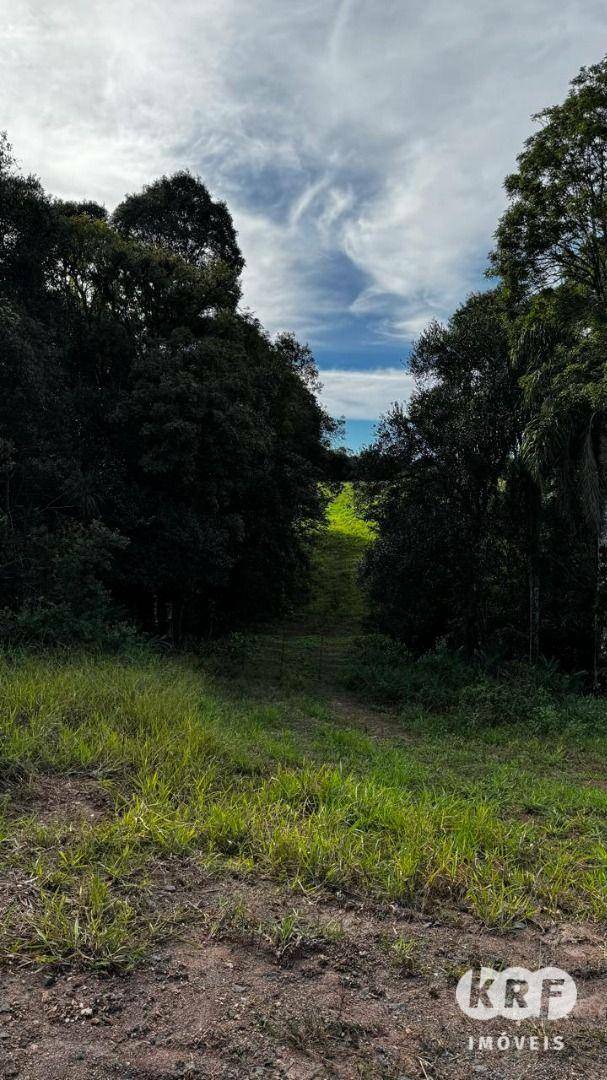 Terreno à venda, 217800M2 - Foto 3