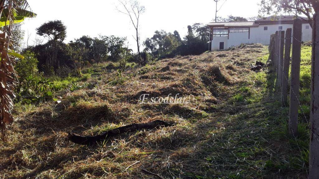 Terreno à venda, 1300M2 - Foto 5