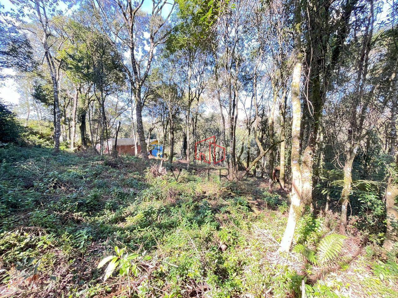 Terreno, 613 m² - Foto 2