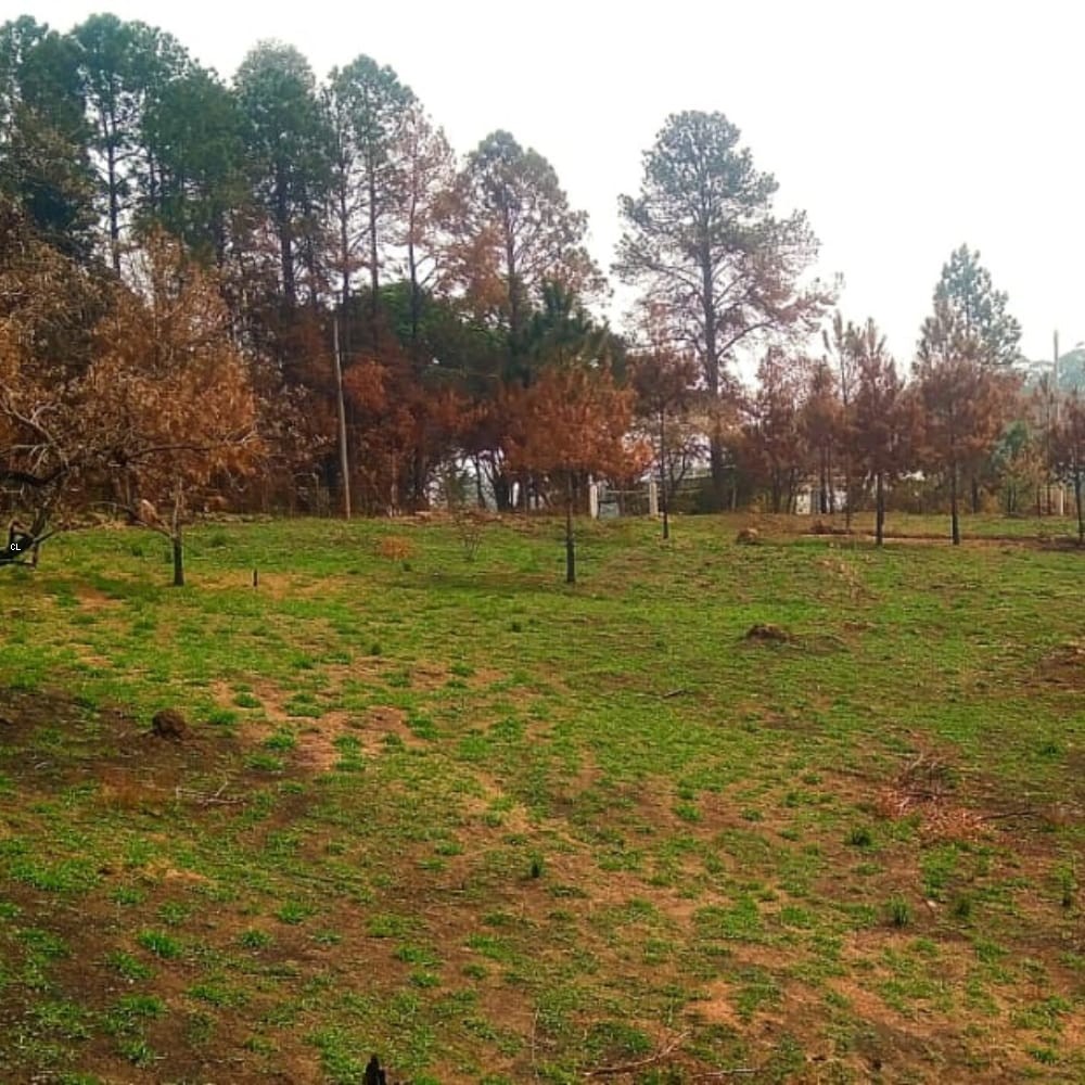 Sítio, 2 quartos, 5 hectares - Foto 25