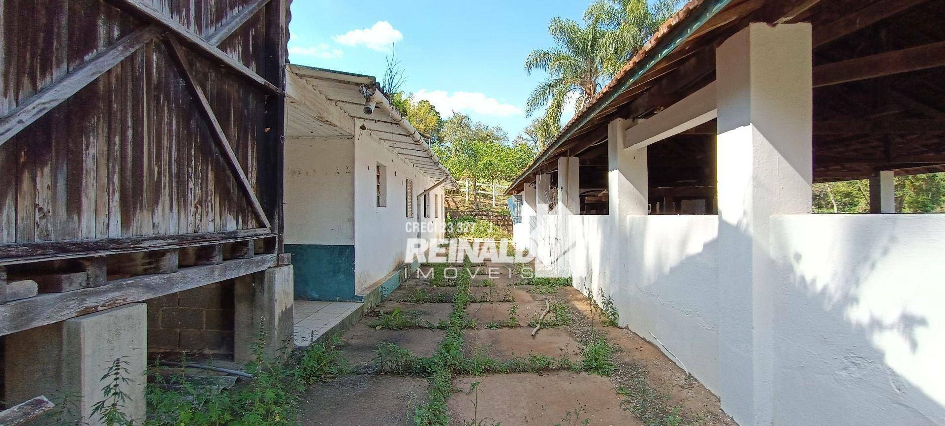 Haras e Área Rural Padrão à venda com 16 quartos, 2500m² - Foto 172