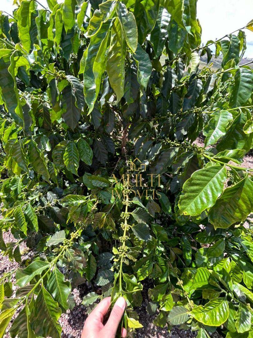 Fazenda à venda, 3200000M2 - Foto 4