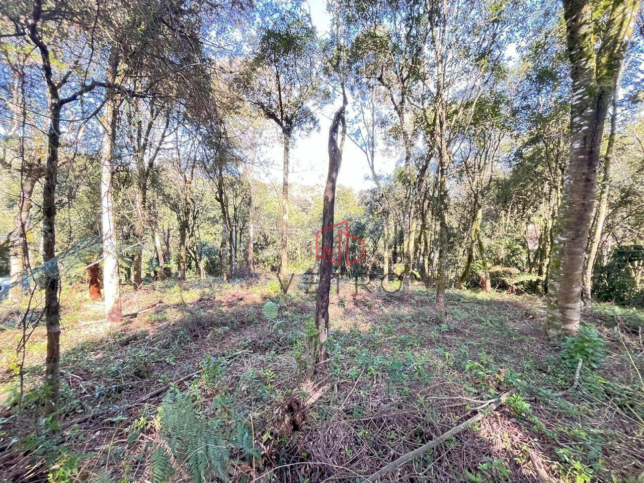 Terreno, 613 m² - Foto 6