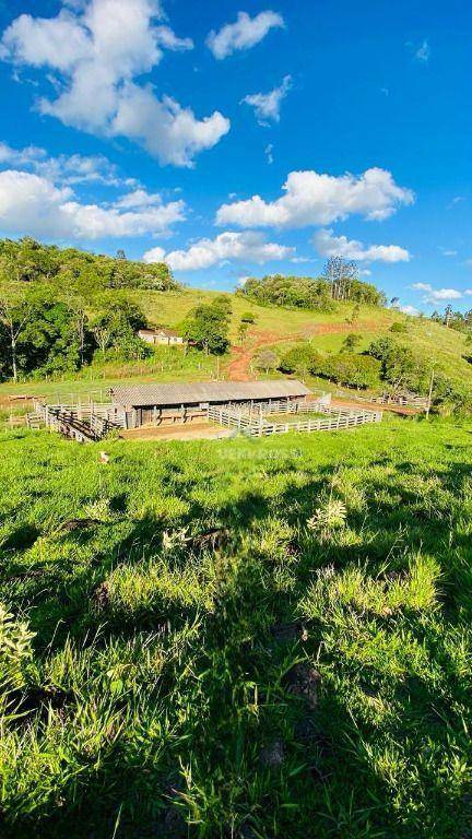 Fazenda, 286 hectares - Foto 18