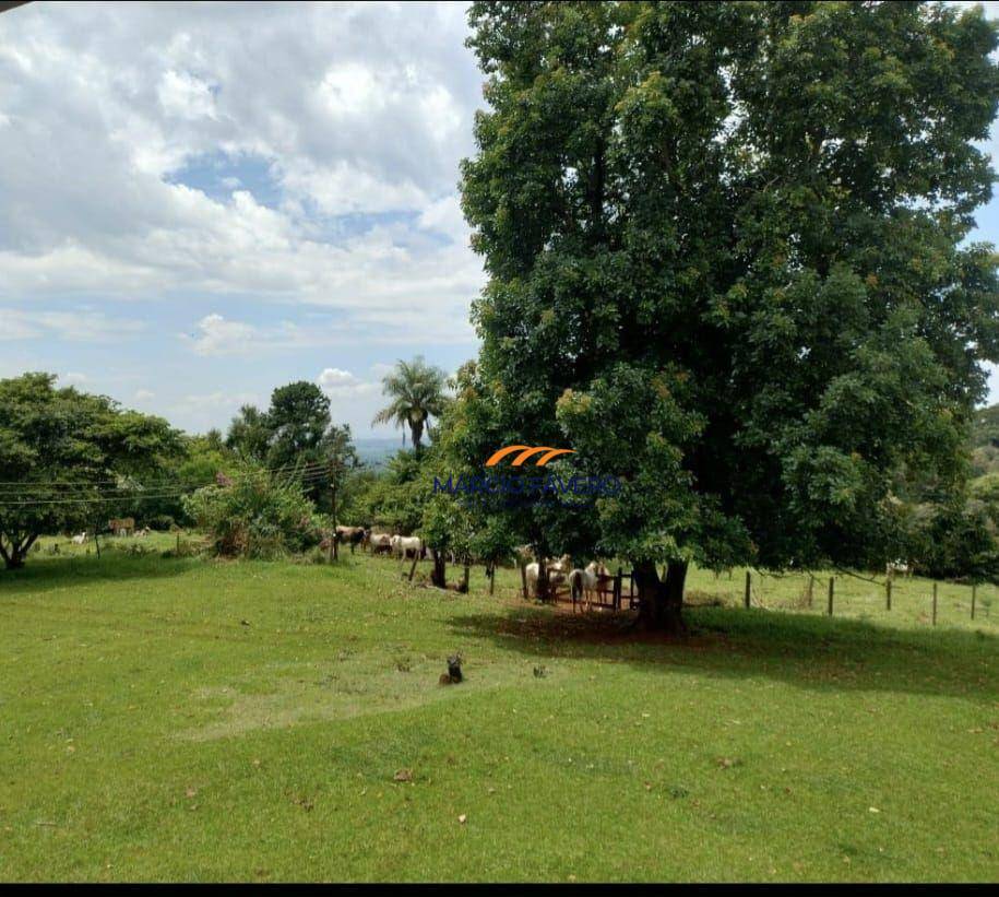 Fazenda-Sítio-Chácara, 298 hectares - Foto 7