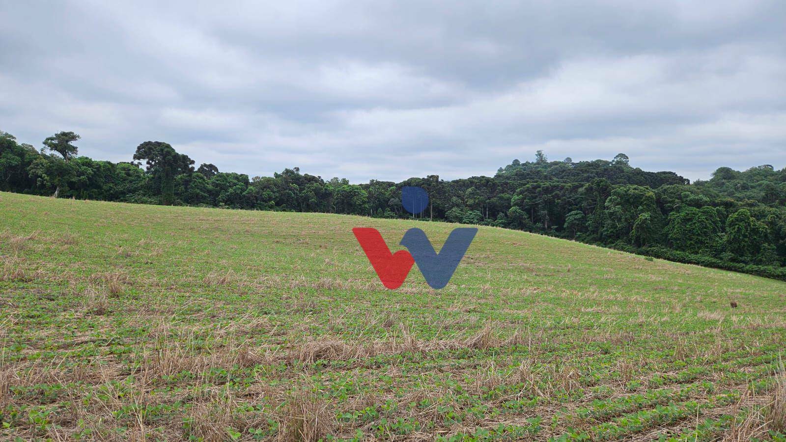 Fazenda à venda com 3 quartos, 1694000M2 - Foto 39