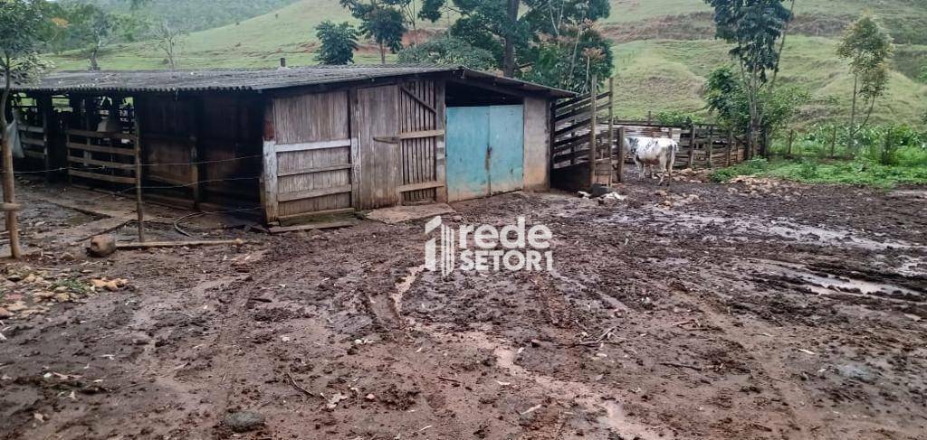 Fazenda à venda com 3 quartos, 1110000M2 - Foto 54
