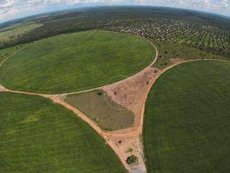 Fazenda à venda, 49260000M2 - Foto 2