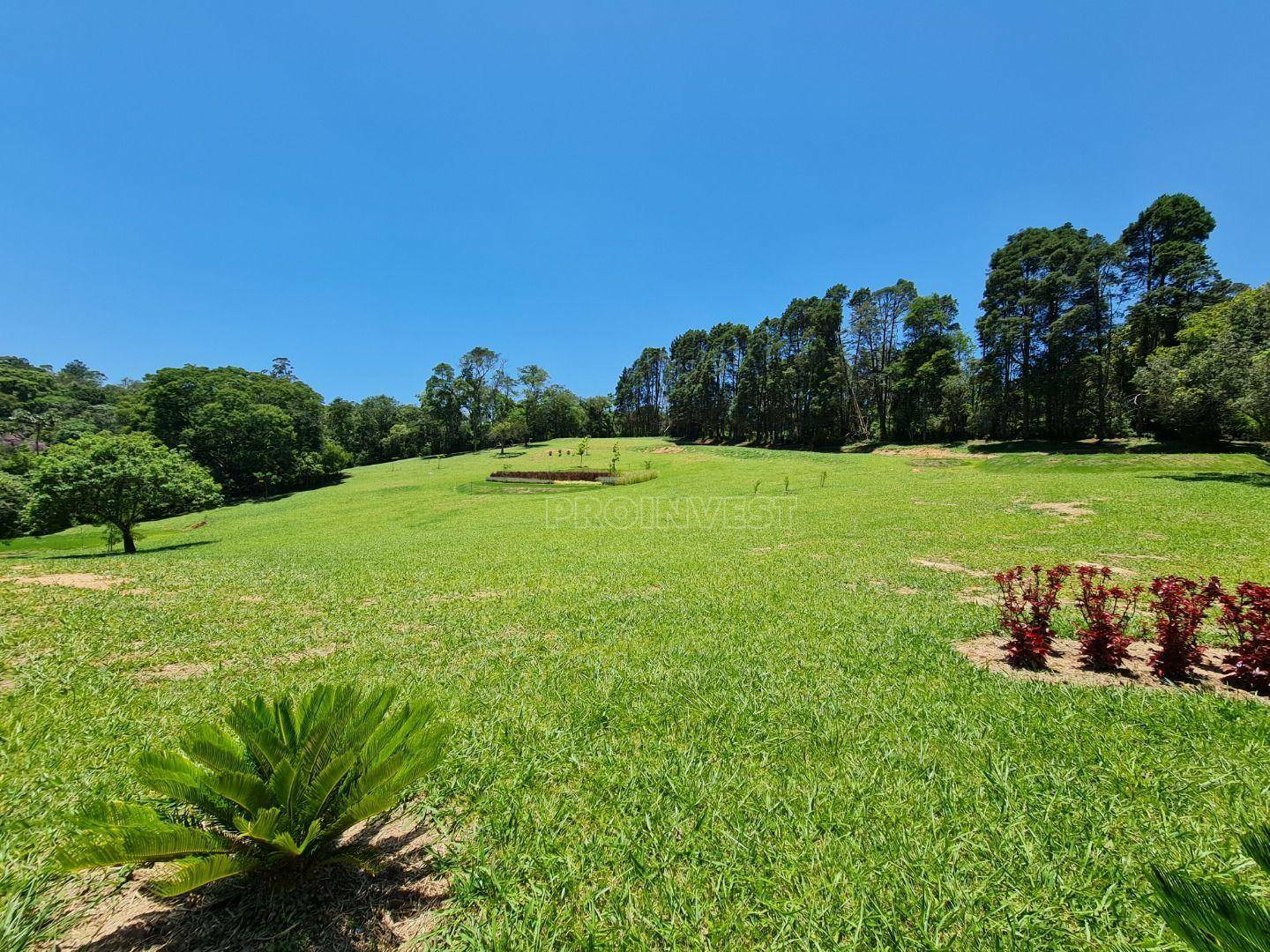 Terreno à venda, 100000M2 - Foto 46