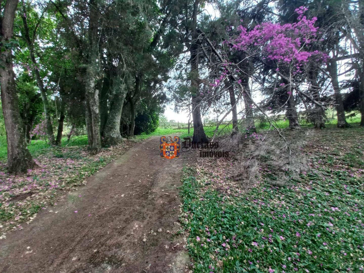 Terreno à venda, 21000M2 - Foto 2