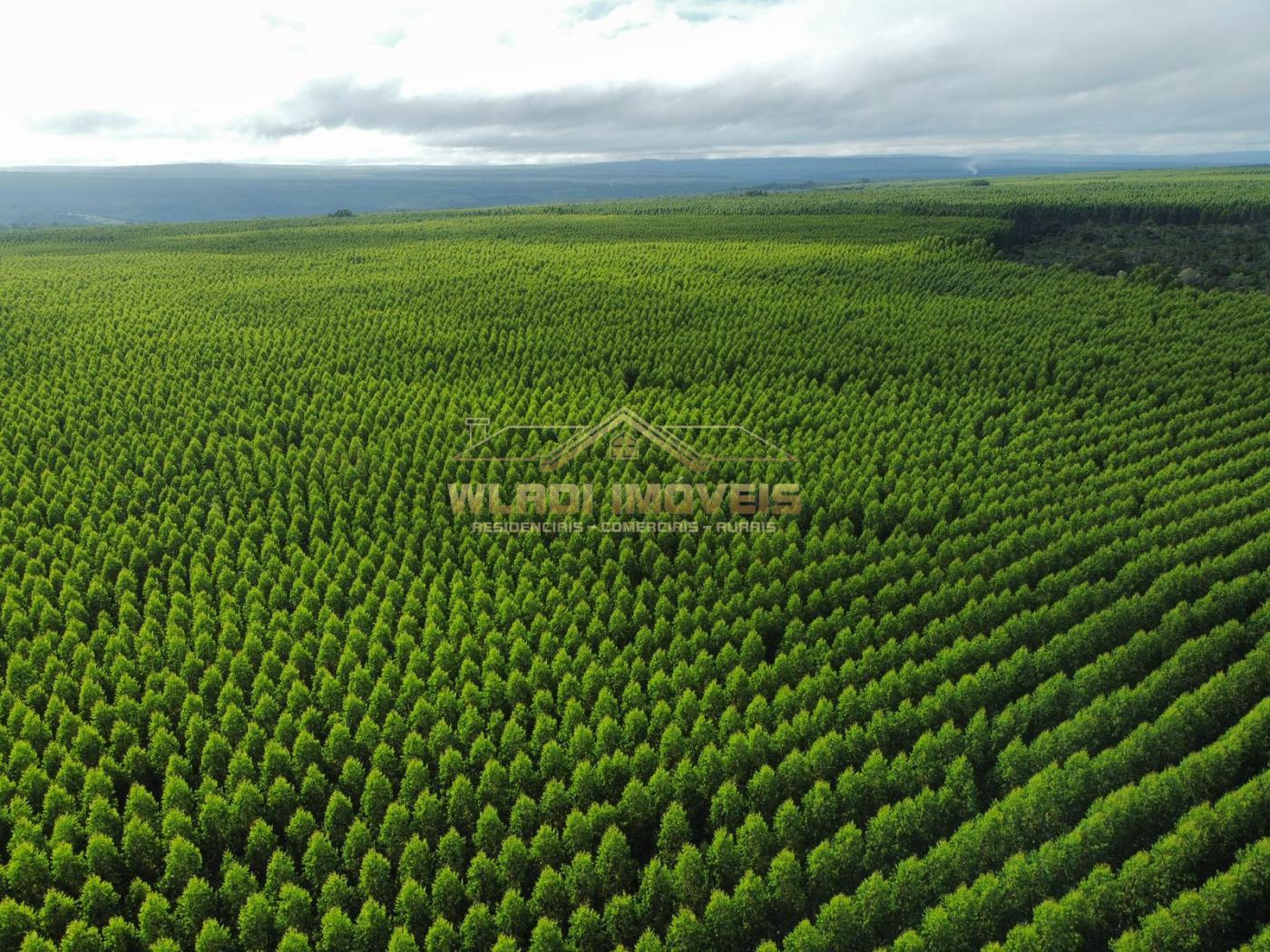 Fazenda à venda, 15764m² - Foto 9