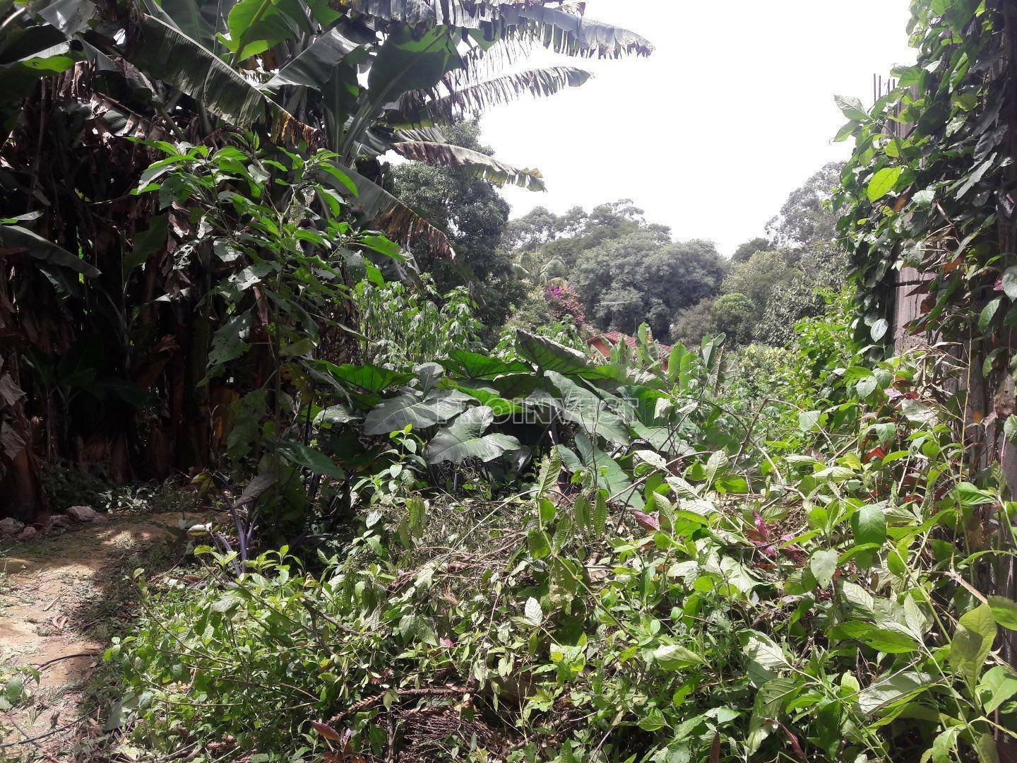 Loteamento e Condomínio à venda, 1000M2 - Foto 6