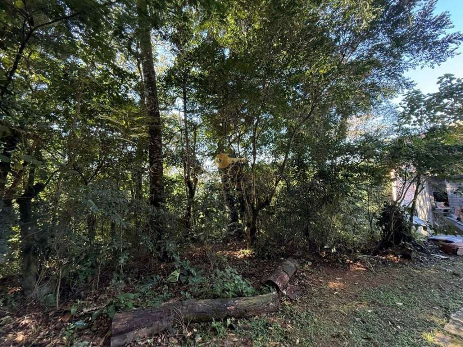 Terreno à venda, 405m² - Foto 10