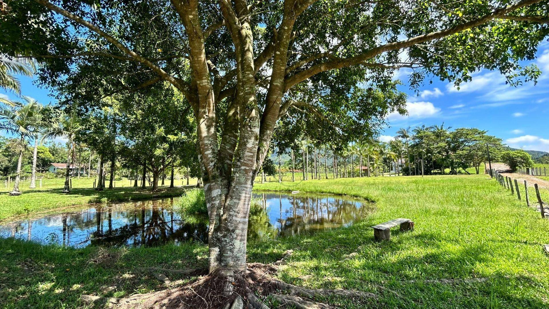 Chácara, 2 hectares - Foto 78