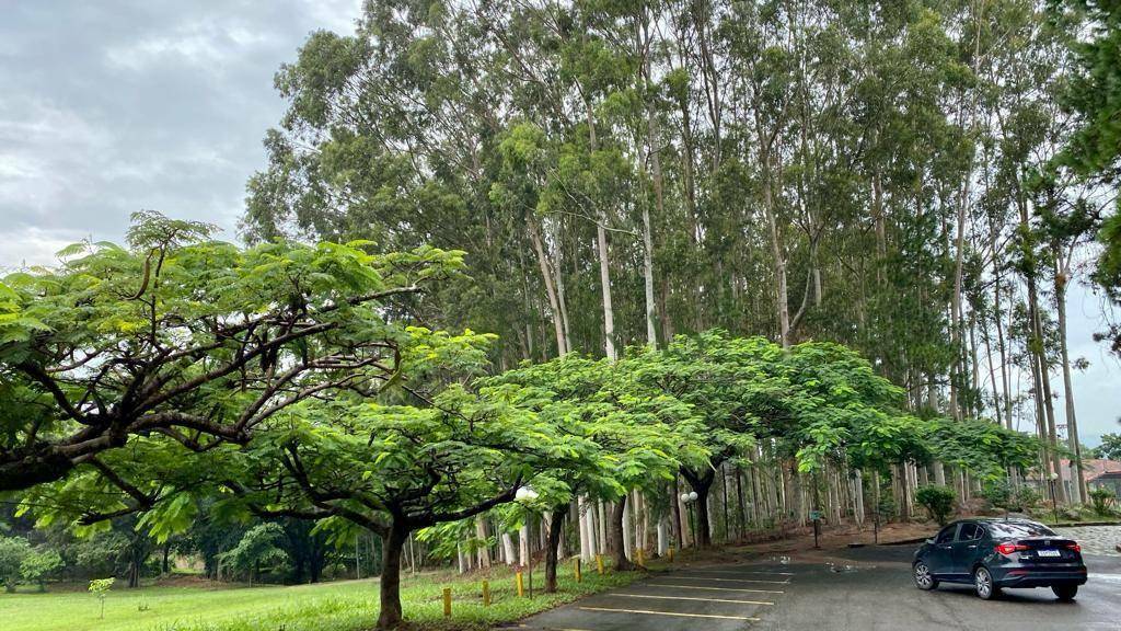 Loteamento e Condomínio à venda, 2372M2 - Foto 9