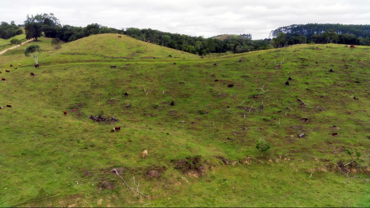 Fazenda à venda com 2 quartos, 862000m² - Foto 6