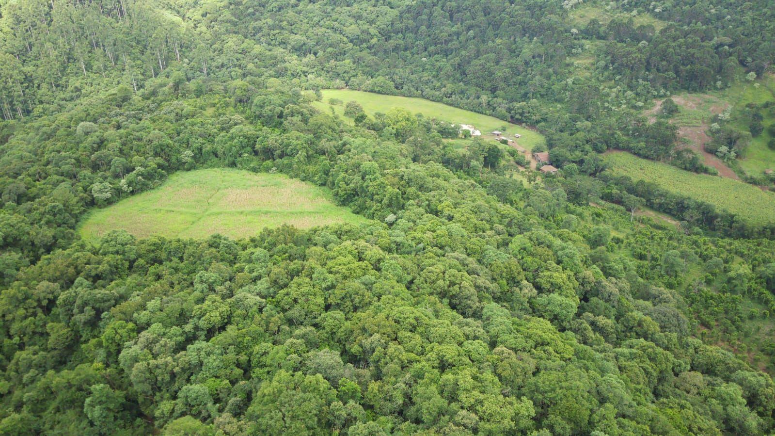 Loteamento e Condomínio à venda, 193600m² - Foto 6