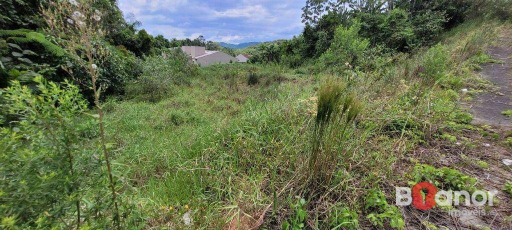 Loteamento e Condomínio à venda, 570M2 - Foto 3