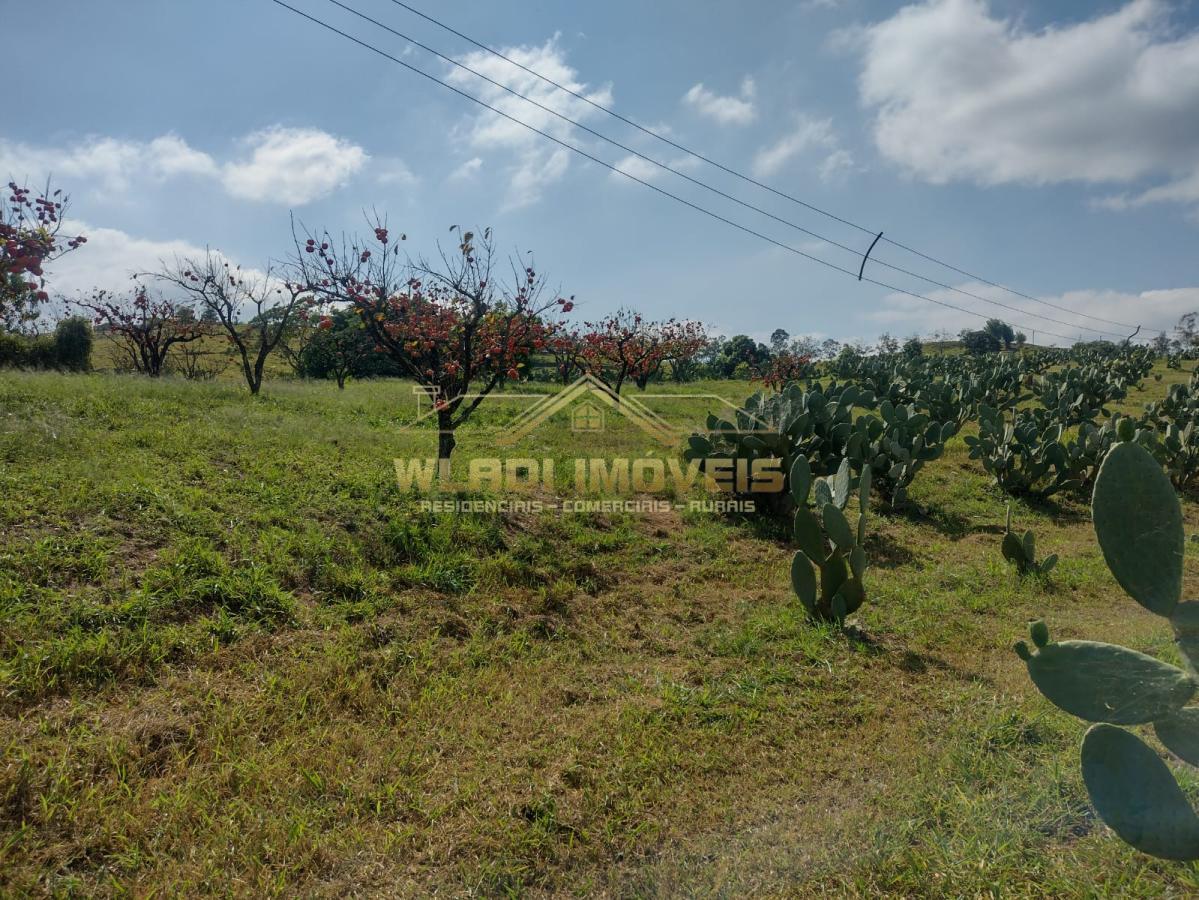 Fazenda à venda, 5m² - Foto 29