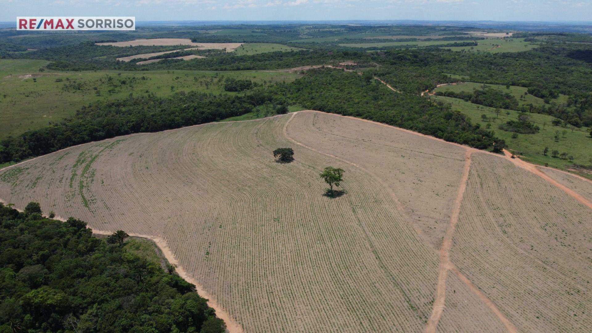 Terreno à venda, 750000M2 - Foto 10