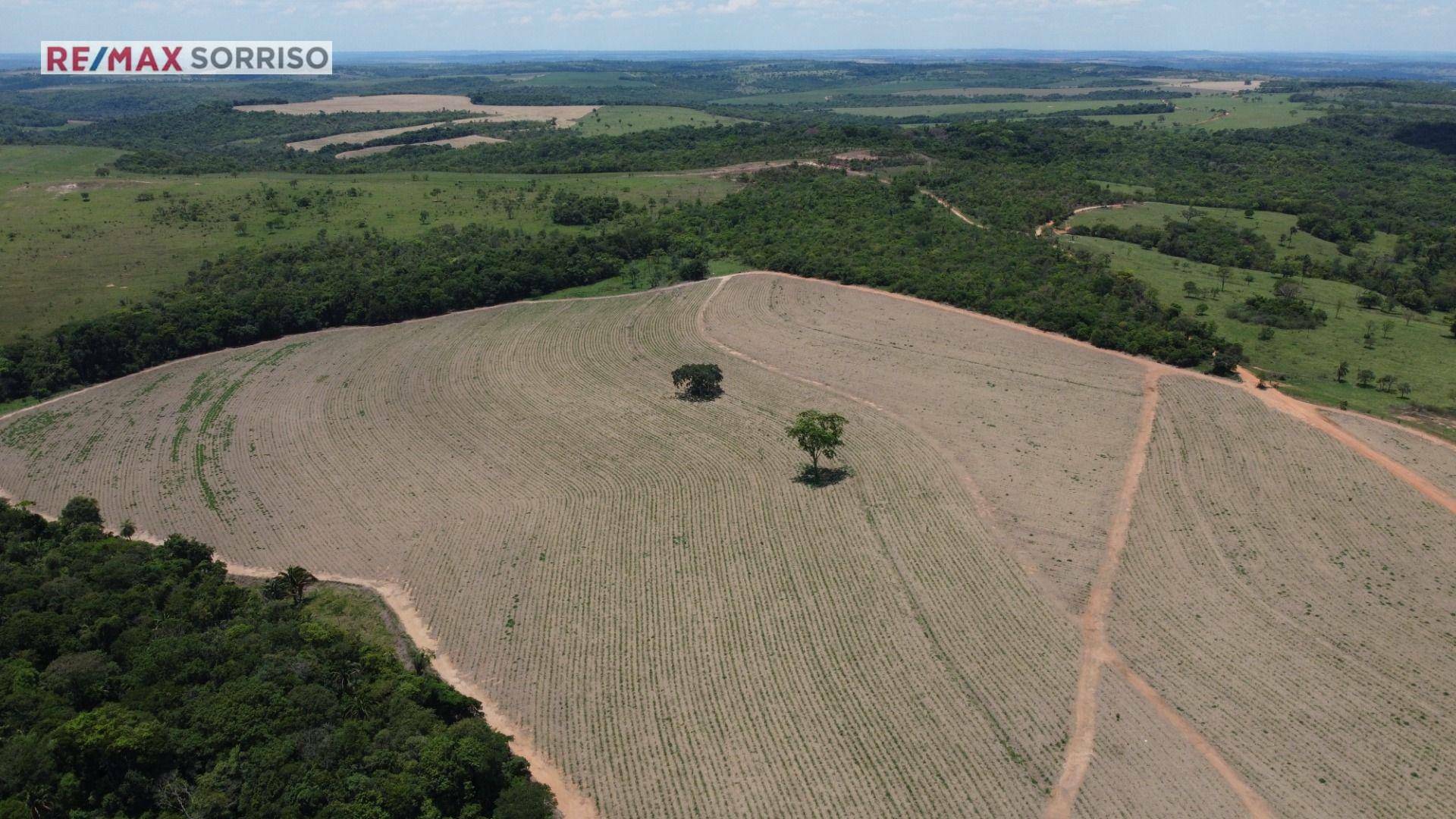 Fazenda à venda, 750000M2 - Foto 10