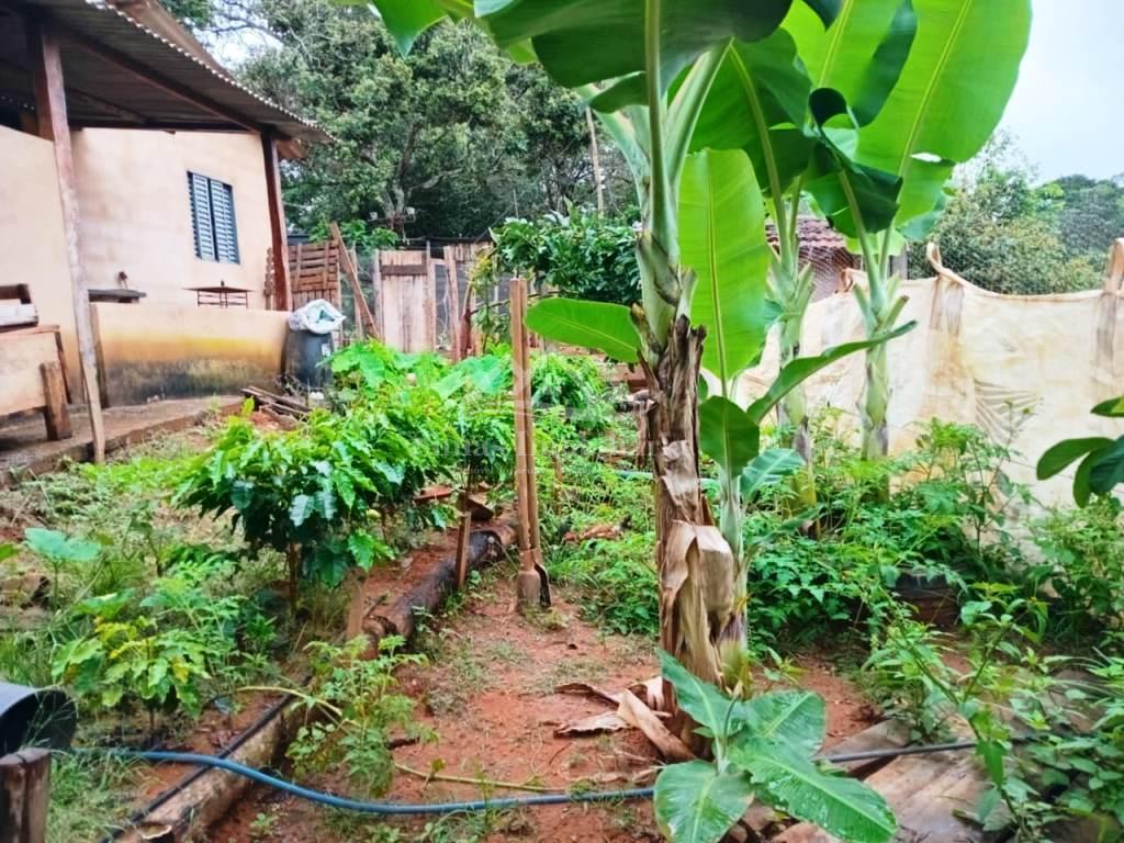 Fazenda à venda com 3 quartos, 1890m² - Foto 3