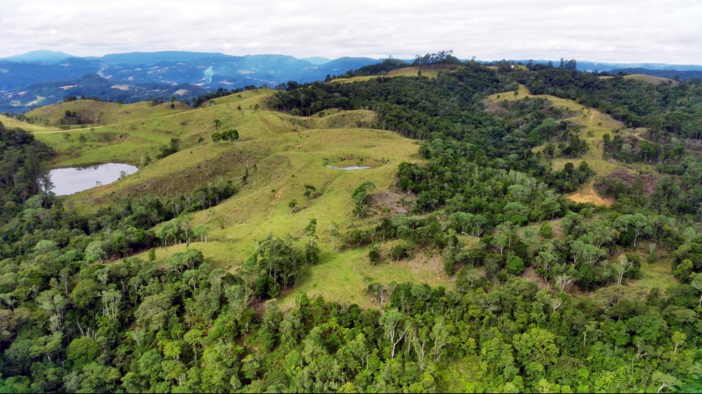 Fazenda à venda com 2 quartos, 862000m² - Foto 18