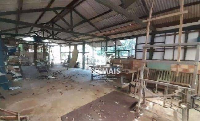 Chácara à venda com 5 quartos, 5000M2 - Foto 6