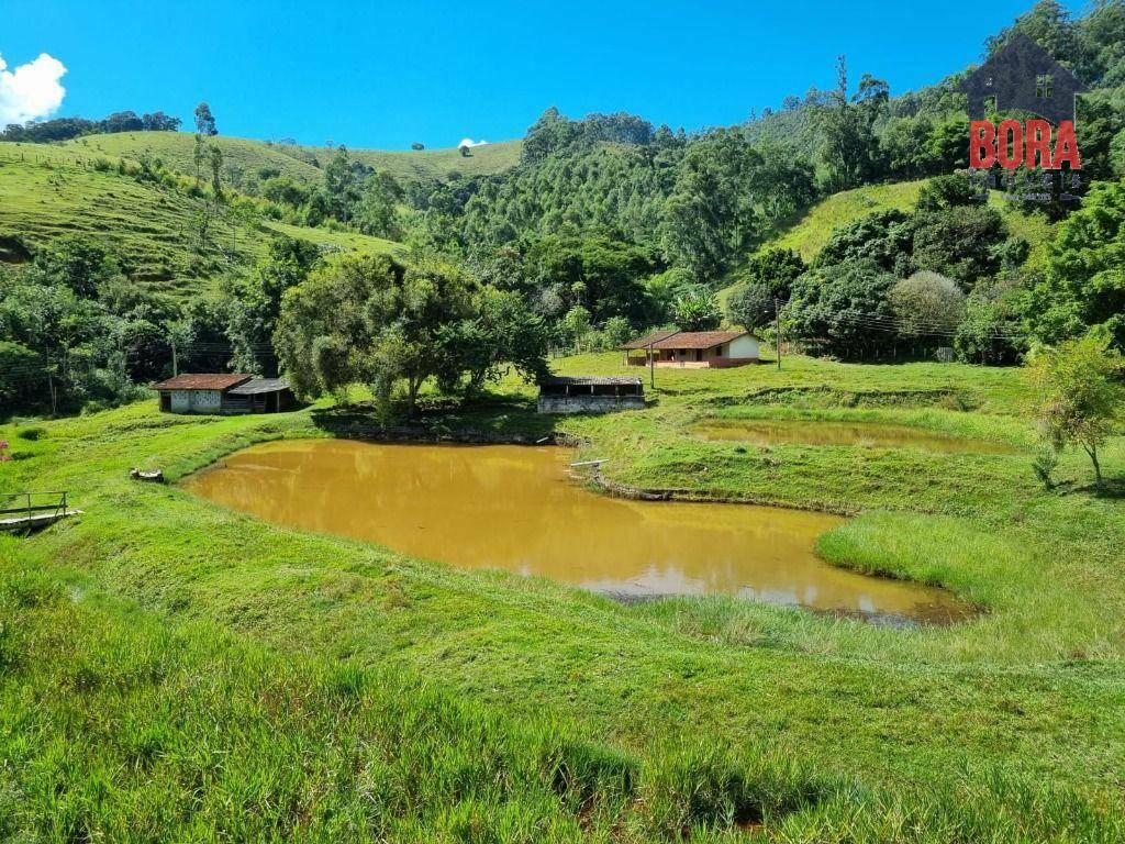 Fazenda à venda com 2 quartos, 1113200M2 - Foto 2